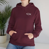 Load image into Gallery viewer, Women's Follow Me — Matthew 4:19 Hoodie