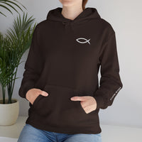 Load image into Gallery viewer, Women's Follow Me — Matthew 4:19 Hoodie